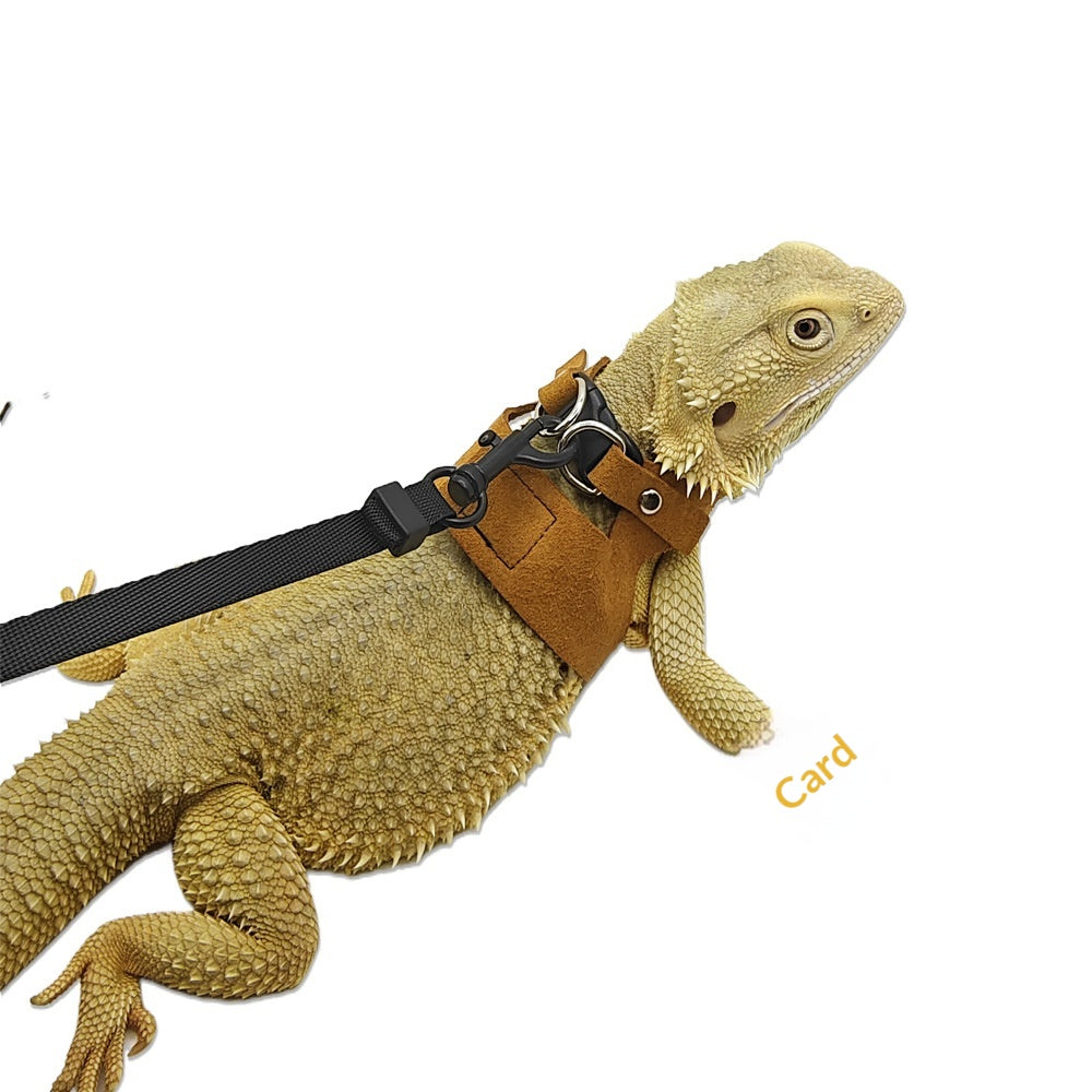 Lizard Chameleon écureuil Pet extérieur poitrine et Harness