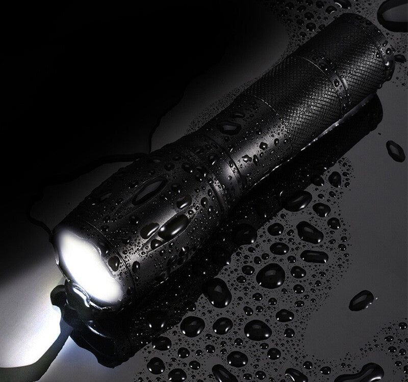 2x Lampe de poche UV LED Ultra Violet Blacklight Chasse Light Torch