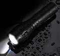 2x Lampe de poche UV LED Ultra Violet Blacklight Chasse Light Torch