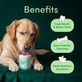 Animaux de compagnie Soins buccodentaires Poudre de nettoyage des dents