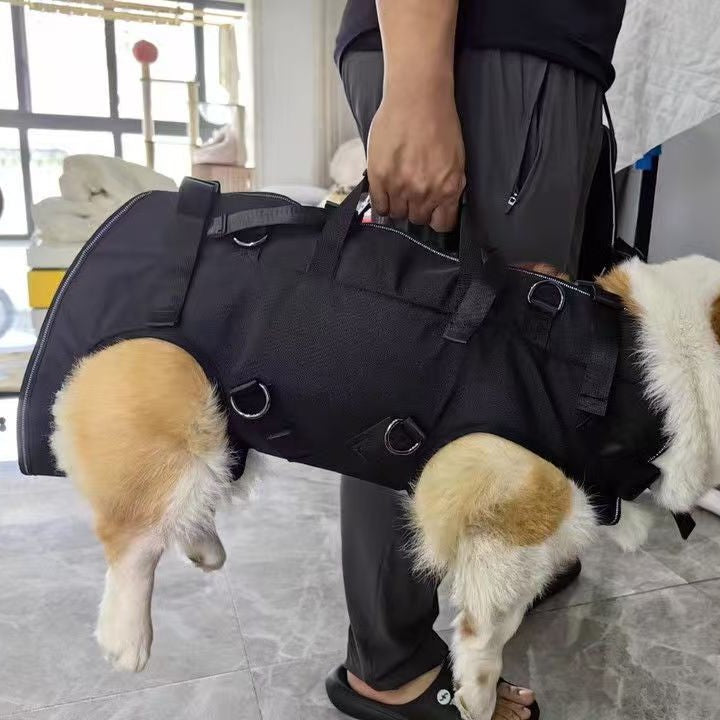 Pet Chest Bag Cyclisme Sac à dos Vélo Riding Dog Walking Harness Grand Chien Riding Respirant