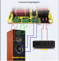 Intercalaire audio à trois voies 1 haut 1 bas 1 intermédiaire sans souder haut-parleur