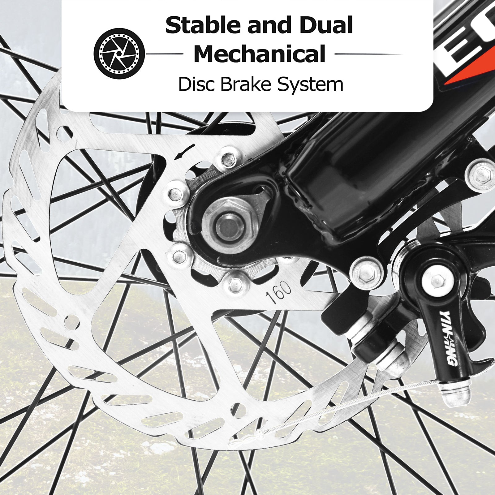 S24109 Élecony 24 pouces Fat Tire vélo adulte et jeune complet Shimano 7 vitesses VTT