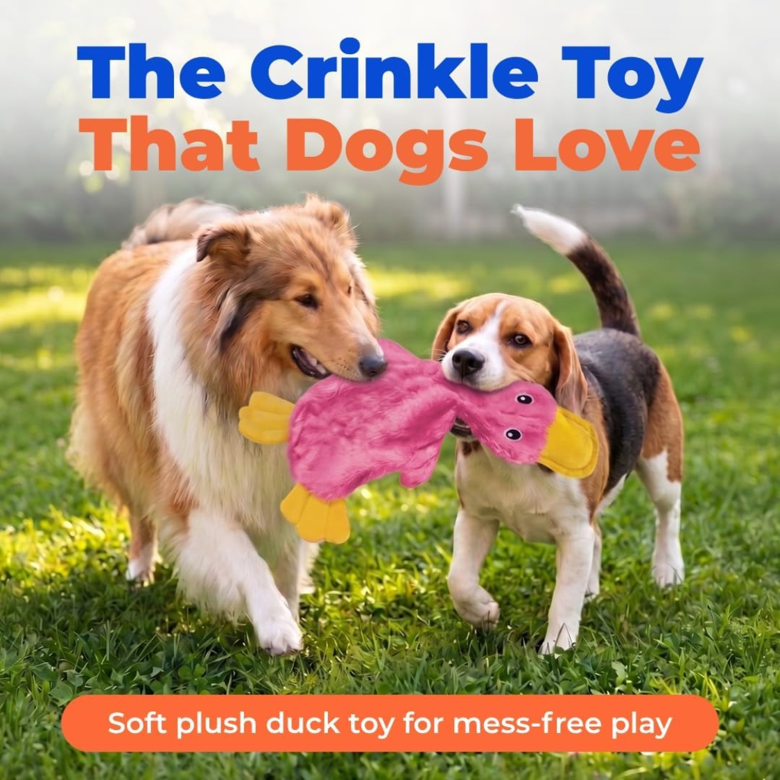 Meilleures fournitures pour animaux de compagnie Jouet de chew pour chiens