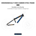 V202035 20 pouces Fat Tire Bike 7 Speed Mountain Bike