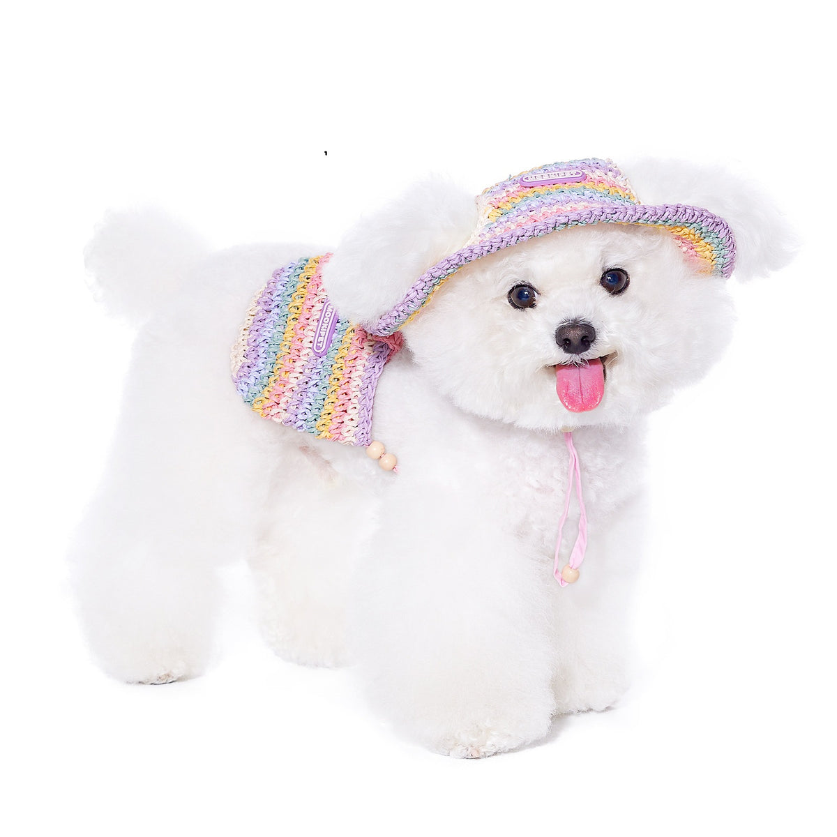 Woven Sun Hat Summer Petit chien Yorkshire Bichon Voyage style sac de voyage