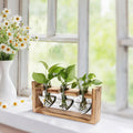 1Pc Station de propagation du terrarium avec 3 vases en forme de coeur Support en bois Bureau Air