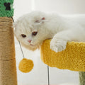 Cactus cadre d'escalade chat arbre chat jouet