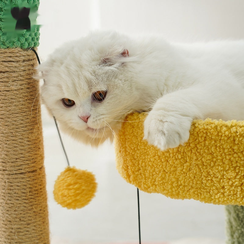 Cactus cadre d'escalade chat arbre chat jouet