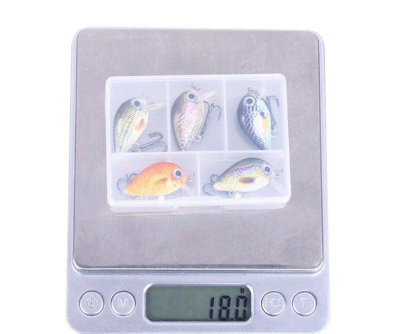 Style Mini Rock Lure de pêche 1,5g Petit ensemble de lure 5 couleurs Lure d'impression en boîte