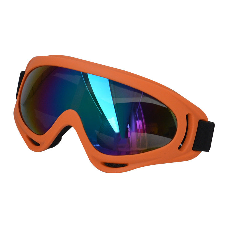 Lunettes de soleil extérieures pour chiens Décoration