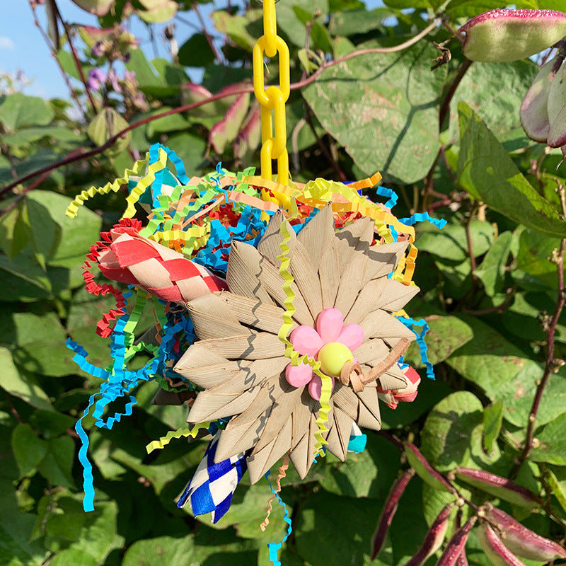Jouets éducatifs brossé de palmier de perroquet