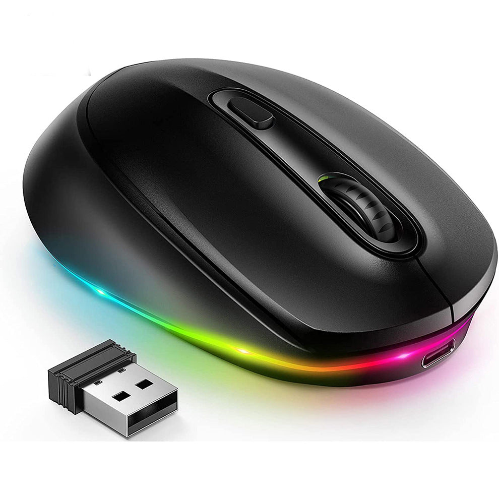 24g Souris sans fil 1600dpi Ergonomic rechargeable