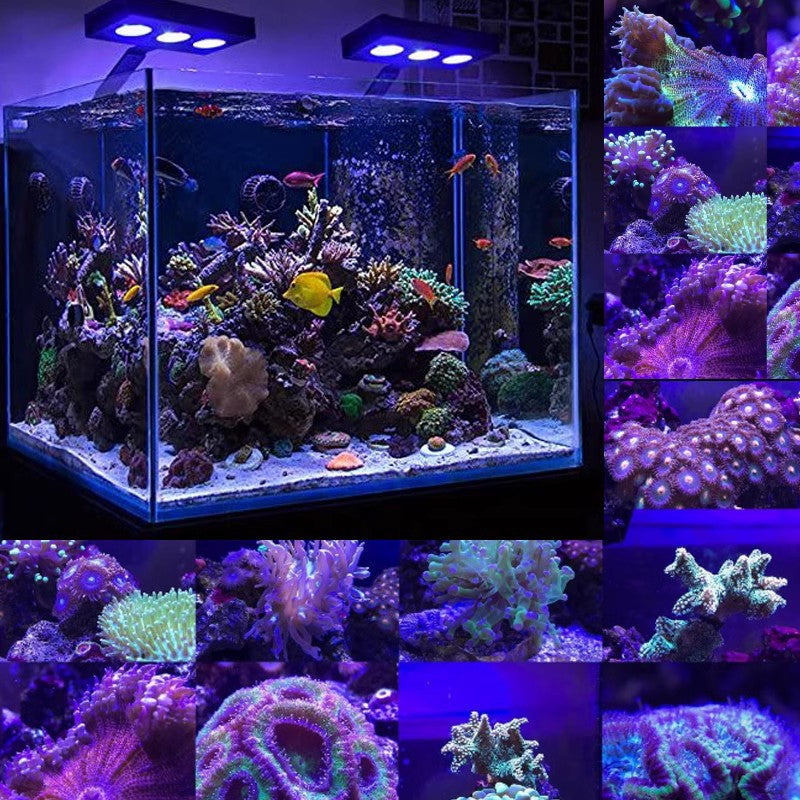 Chevalier de l'eau M5 Plein spectre Coral lumière LED pour aquarium marin