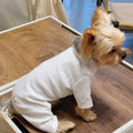 Vêtements pour chiens pour petits chiens