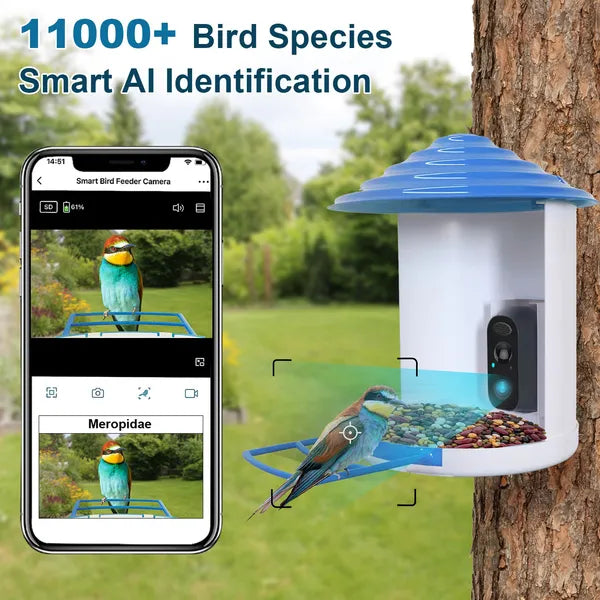 Smart Bird Feeder avec caméra solaire 1080P HD AI identifier PIR Motion Auto Capture V