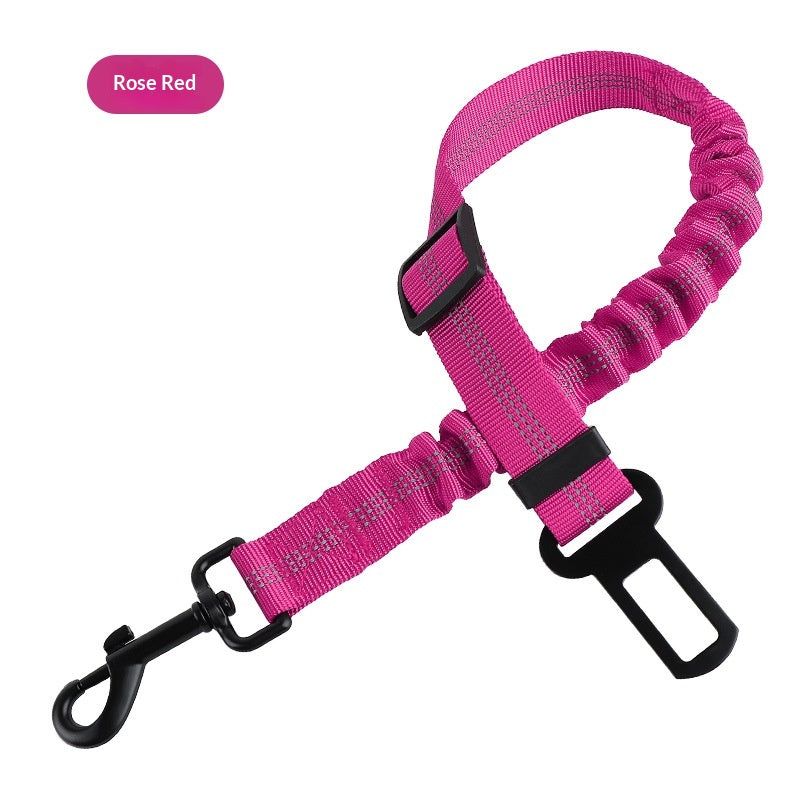 Étendable et rétractable en absorption des chocs Pet Leash
