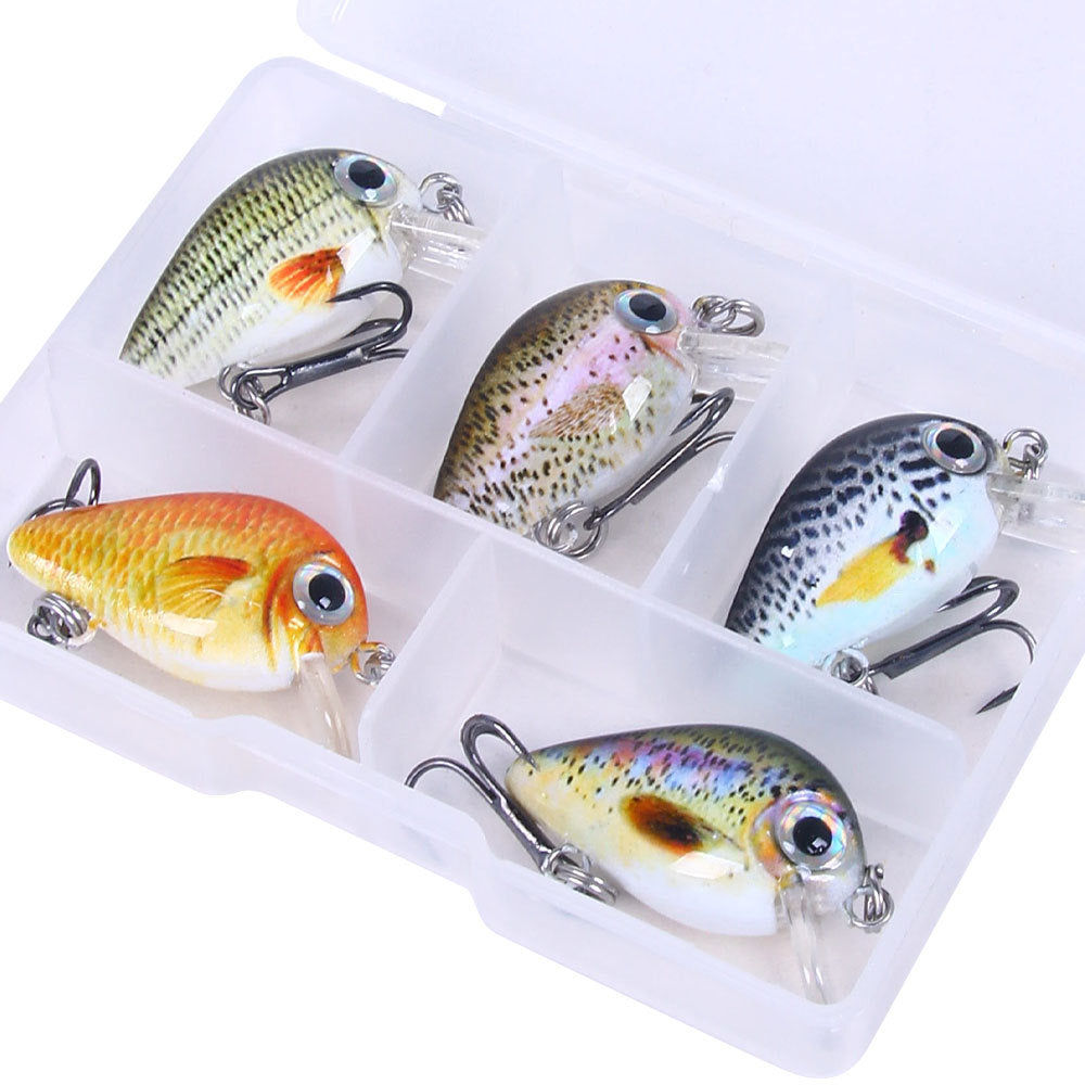 5 couleurs Lure Set 1,5G Mini Rock Lure Fishing Lure Box