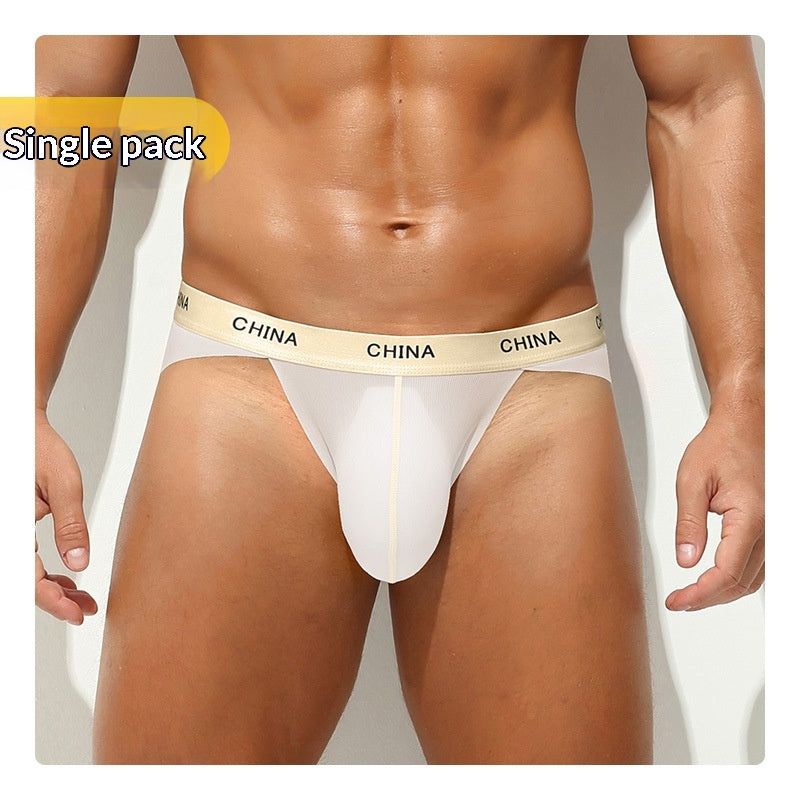 Hommes Ice Silk Sports Antibactériens Slips