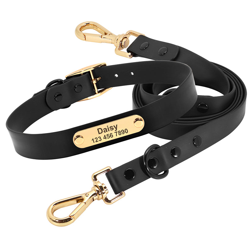 Col laisse chien moyen Teddy