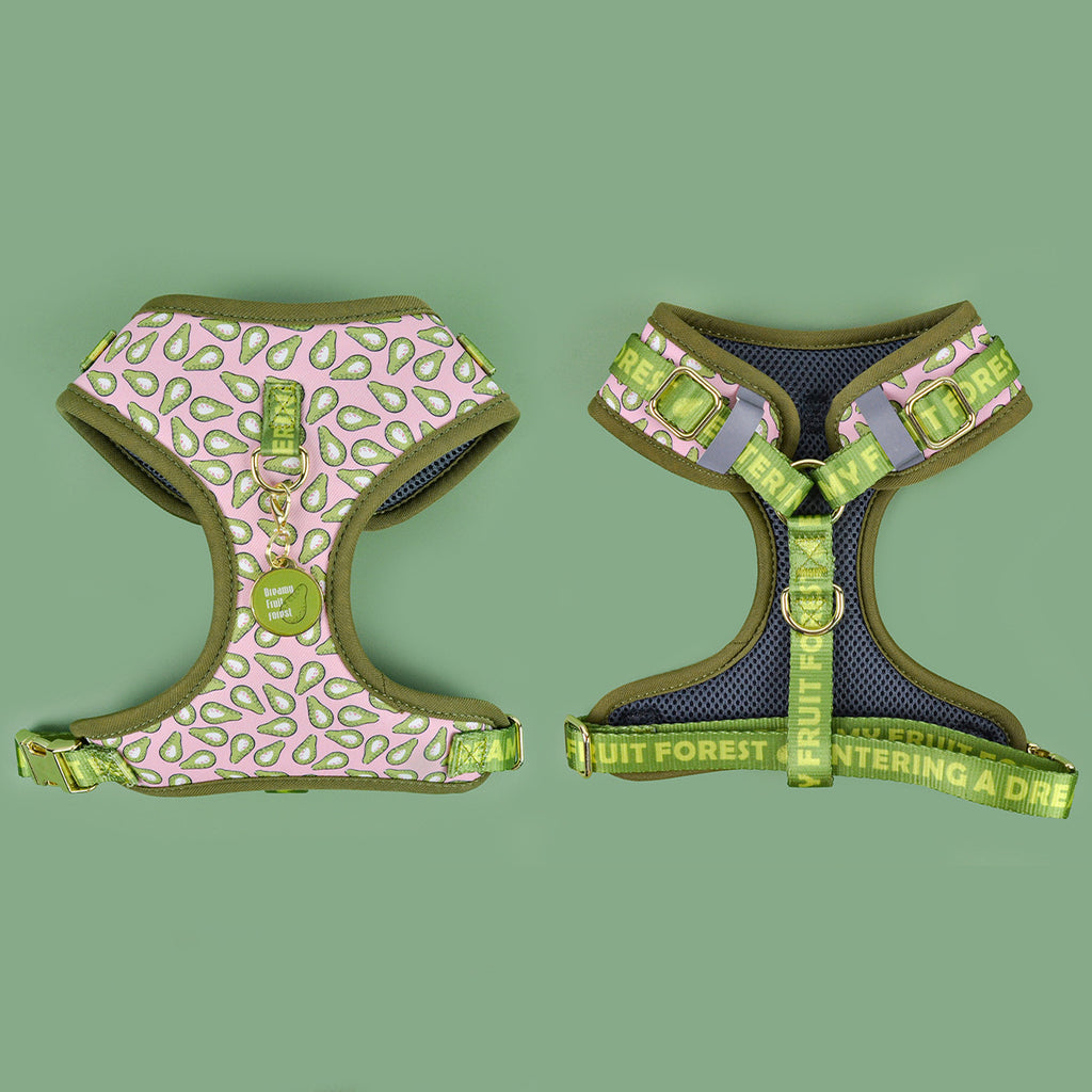 Fashionable Breast Strap réglable pour chien