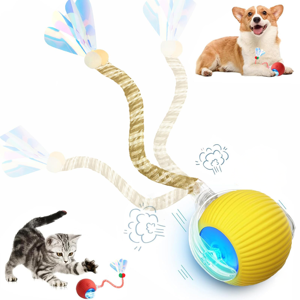 Jouets interactifs pour chats de queue pour chats d'intérieur