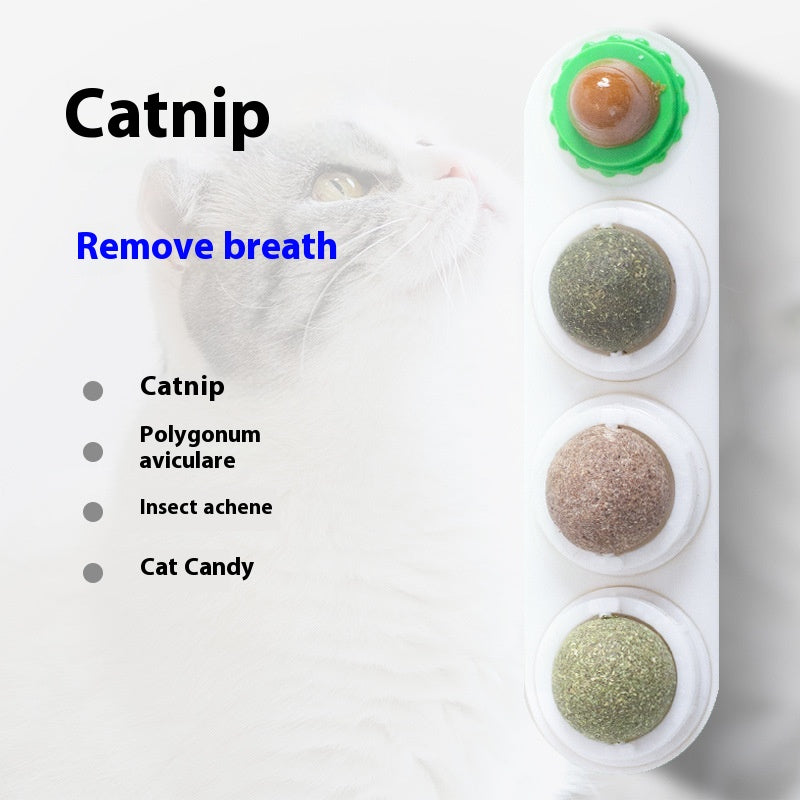 Tasses de jouet de chat Molar Longue durée Pet Supplies