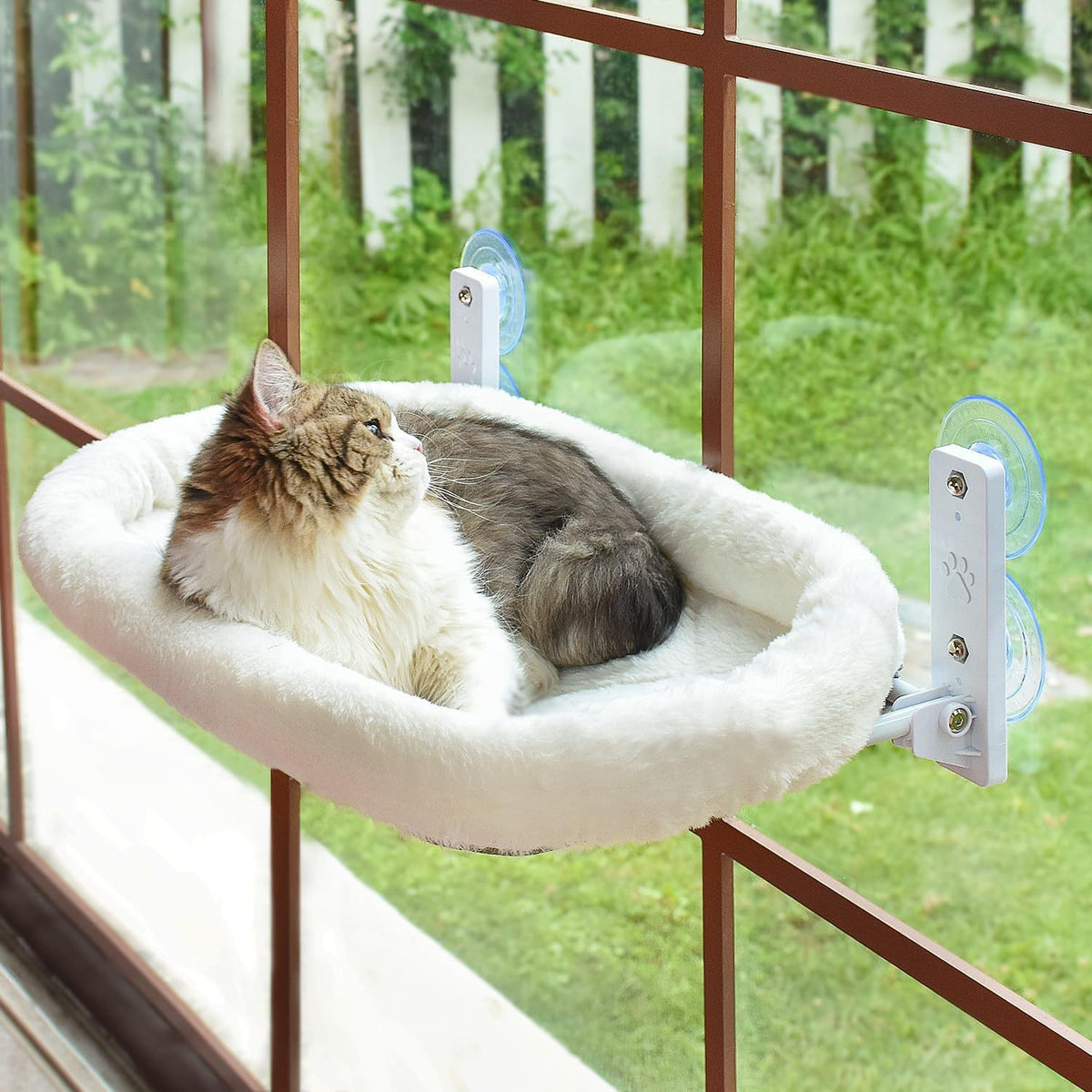 Chat Hammock Pet Chat Nest Balcon Verre