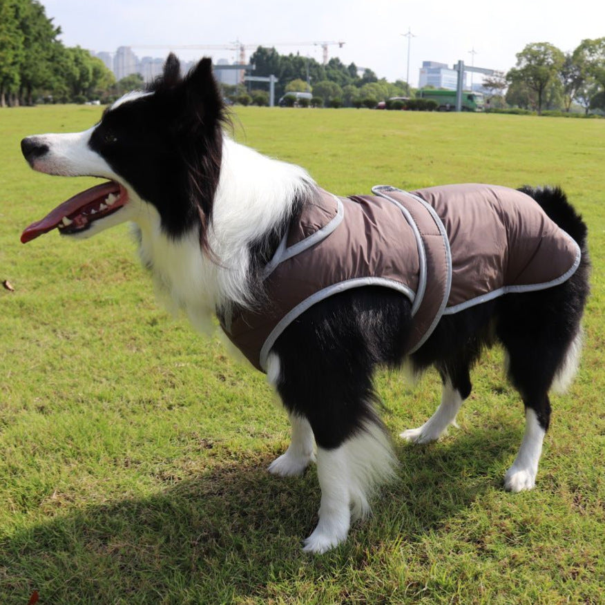 Costume d'automne en coton rembourré pour chien Lapel