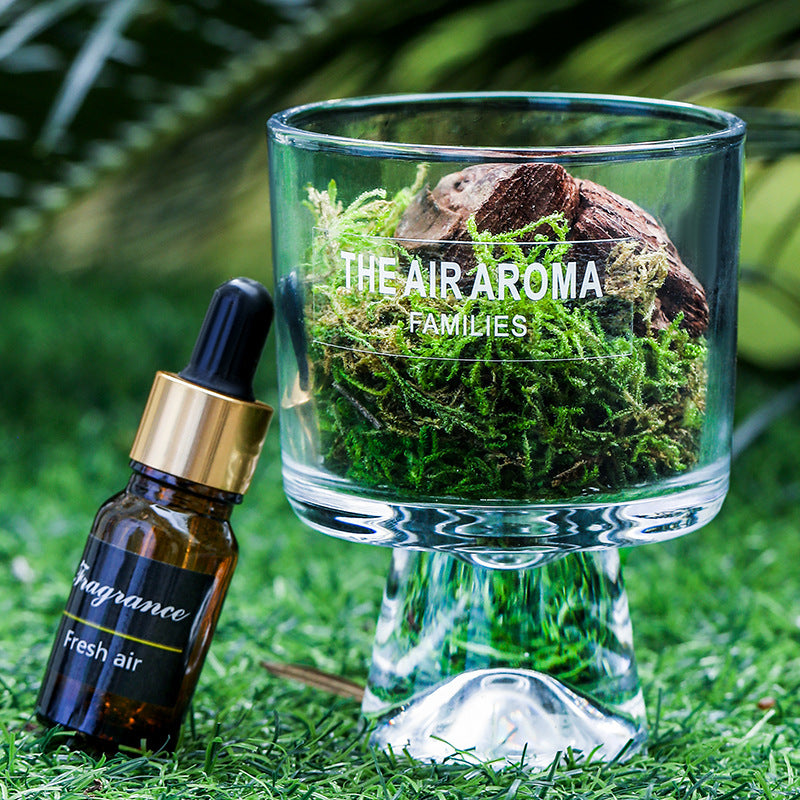 Pine Wood and Moss Aroma Diffuser Cup Ornement sans feu