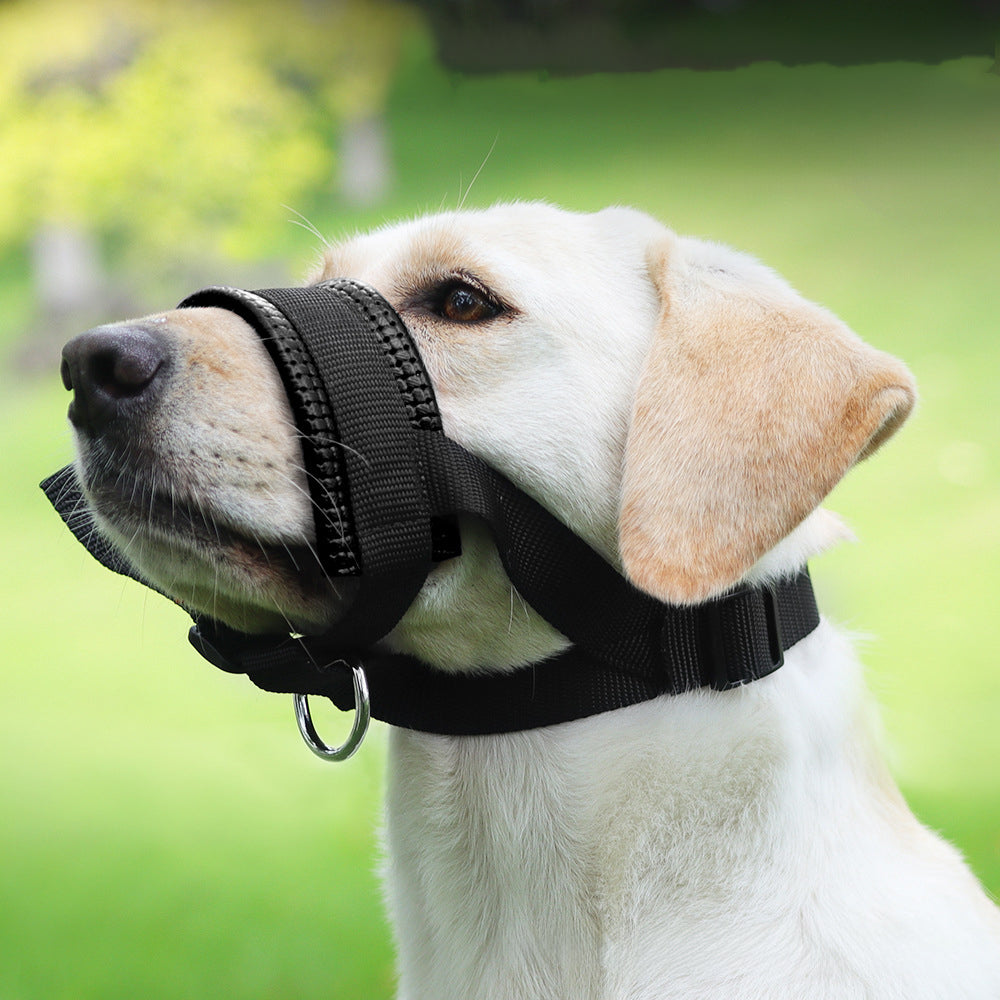 Muselière de chien Muselière Anti Barque Collier de chien respirant Outil d'entraînement de chien