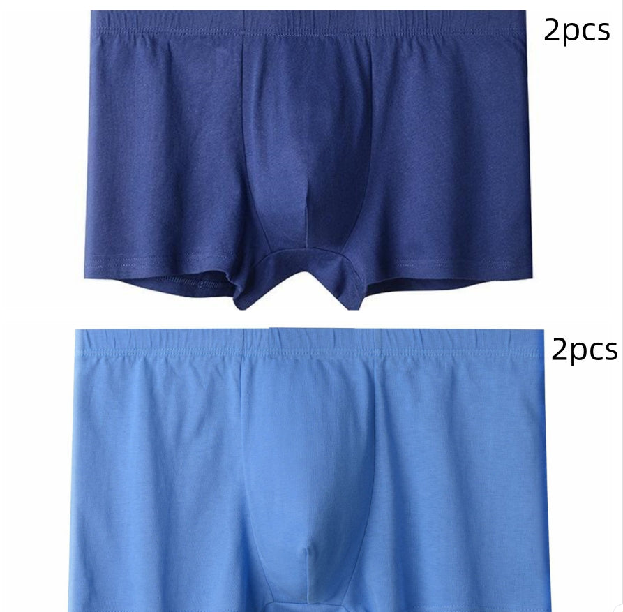 Briefs pour hommes pour hommes d'âge moyen et plus âgés