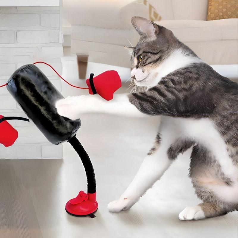 Jouet de printemps de boxe de chat domestique