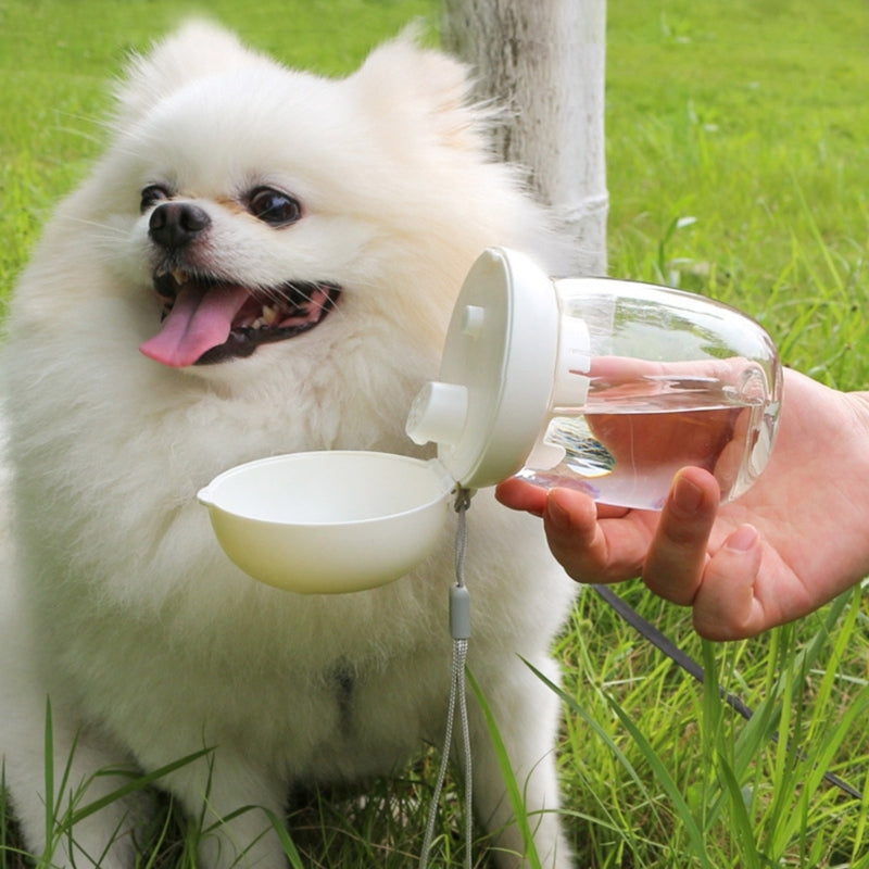 Bouteille d'eau pour chien portable Aller dehors Bouteille d'eau puppy Voyage pour chien