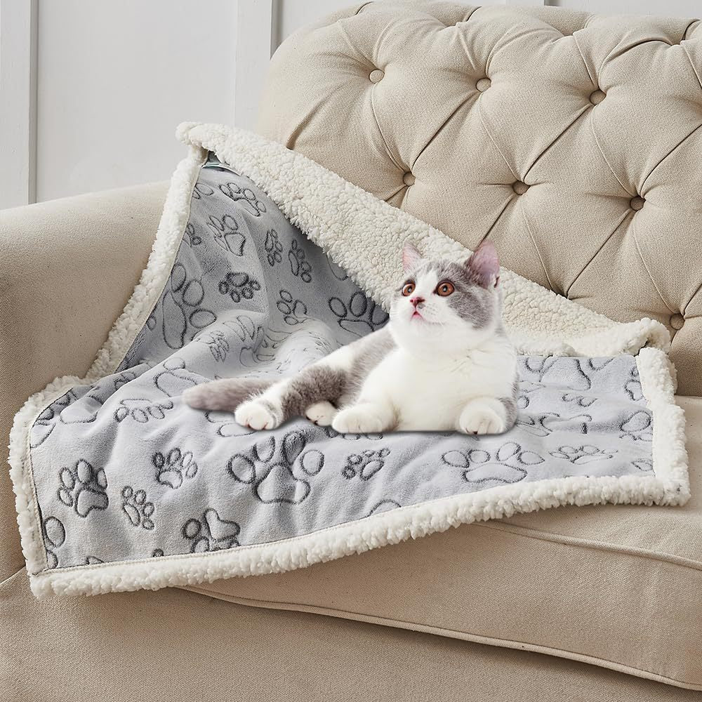 Couverture de chien imperméable pour animaux de compagnie