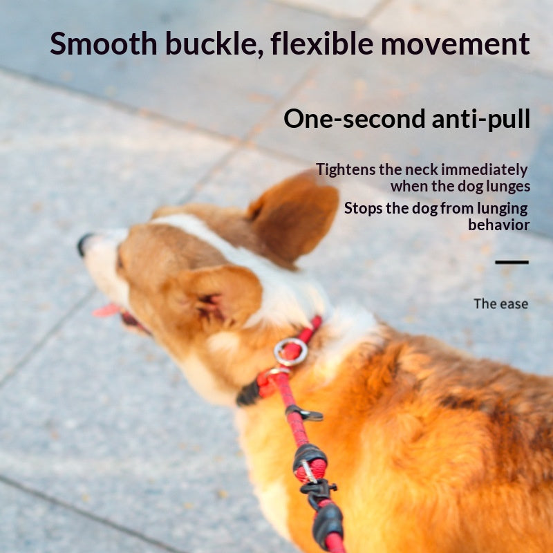 Collier de chien P-chain P-leash Training Leash