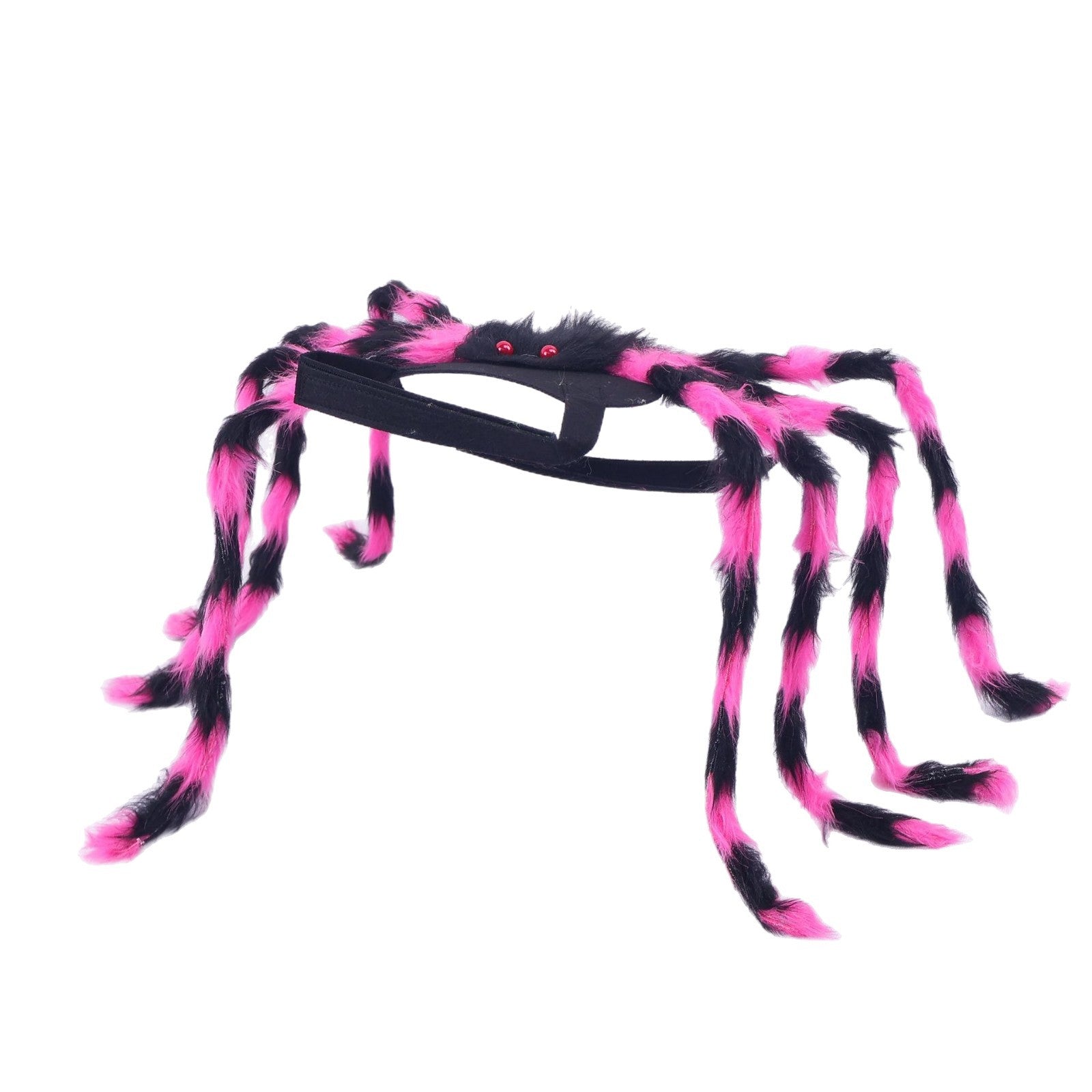 Déguisement Halloween Pet Spider Style américain