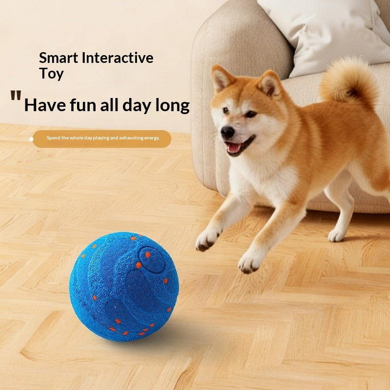 Jeu de chien balle automatique de chien Walker Smart électrique Teaser Bite-résistant