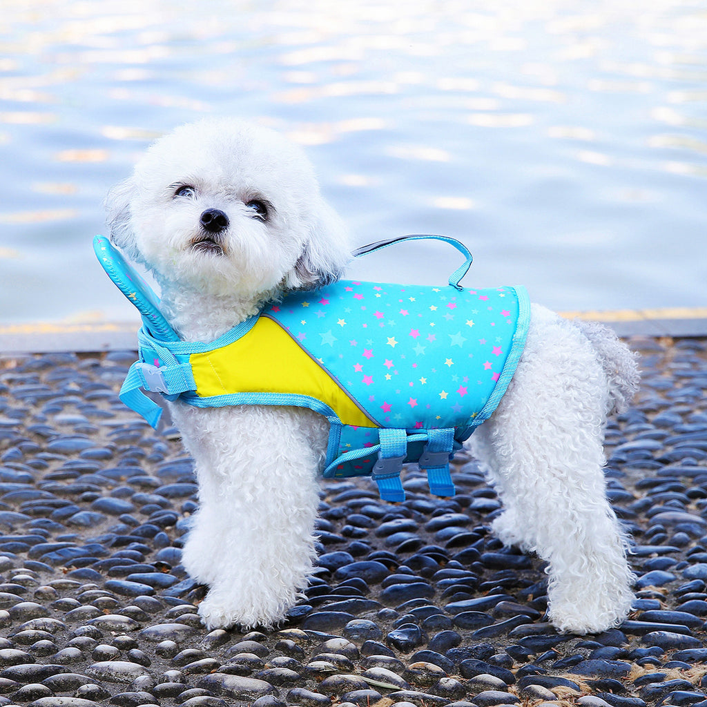 Suit d'entraînement de natation pour chiots d'été