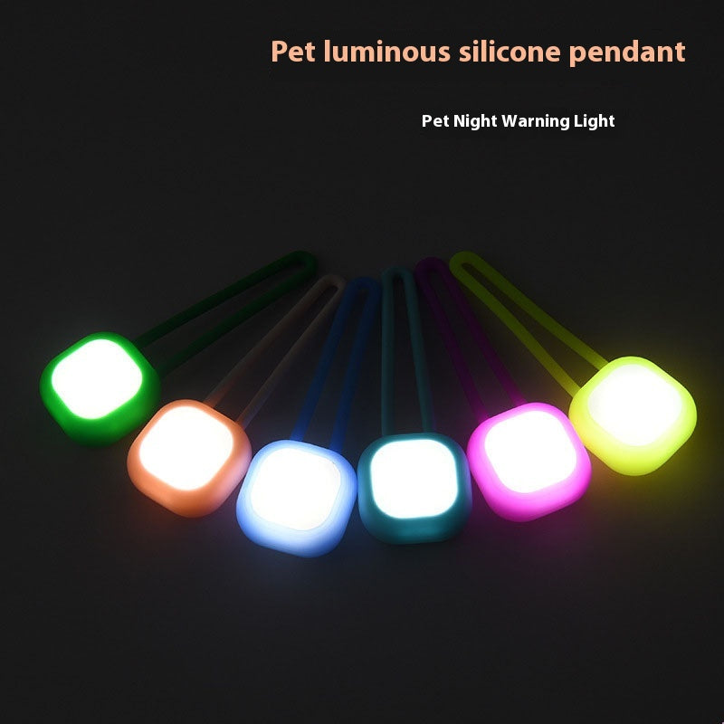 Étiquette de lumière de nuit pendentif Pet