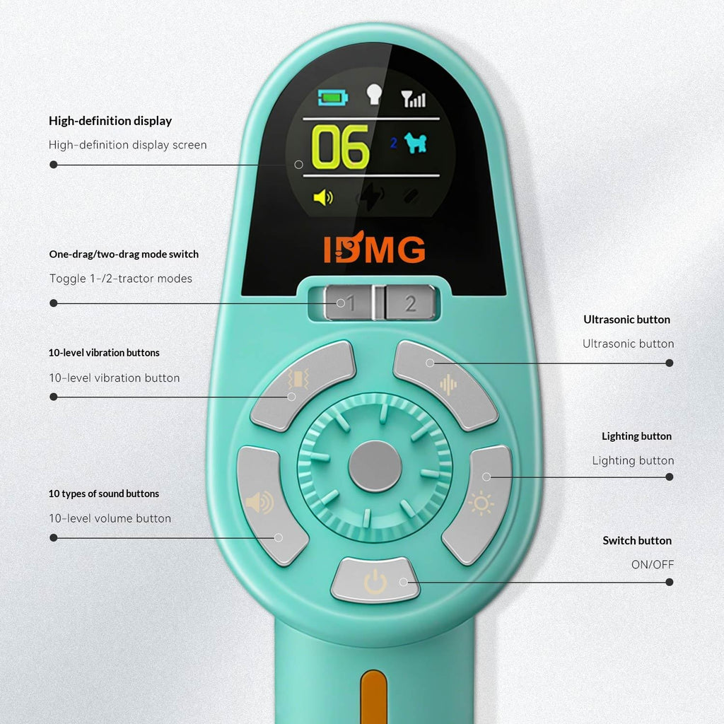 Comfortable dog leash for daily walks