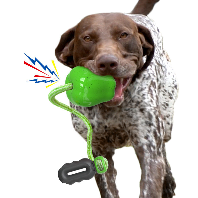 Nourriture pour animaux Jouet d'extérieur pour chiens à boules