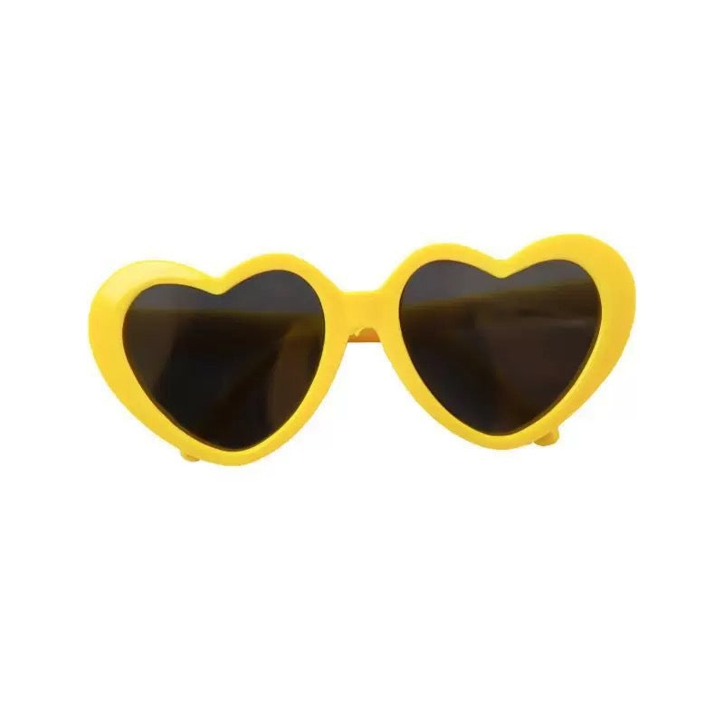 Lunettes de soleil pour animaux de compagnie