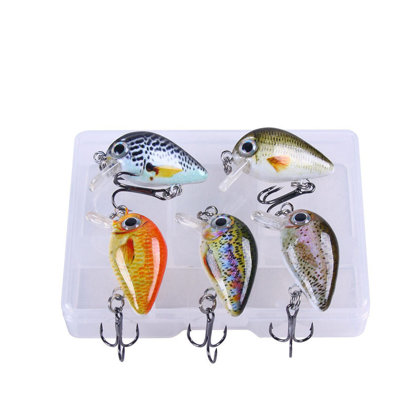 Style Mini Rock Lure de pêche 1,5g Petit ensemble de lure 5 couleurs Lure d'impression en boîte