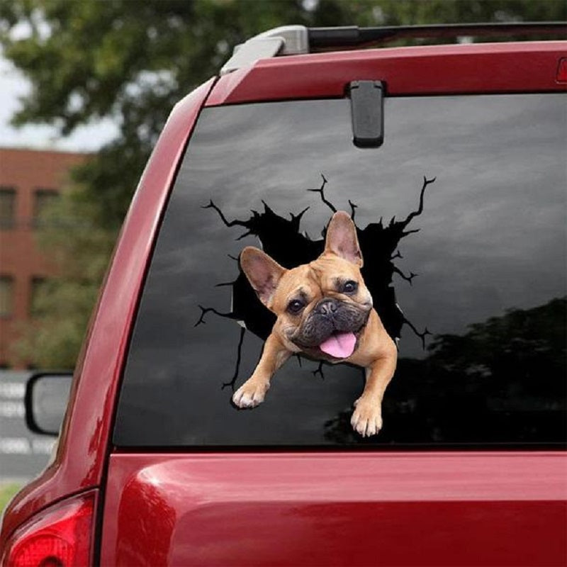Mur animal Toutes sortes de Puppy Creative Trou de voiture cassé stickers électrostatique fenêtre