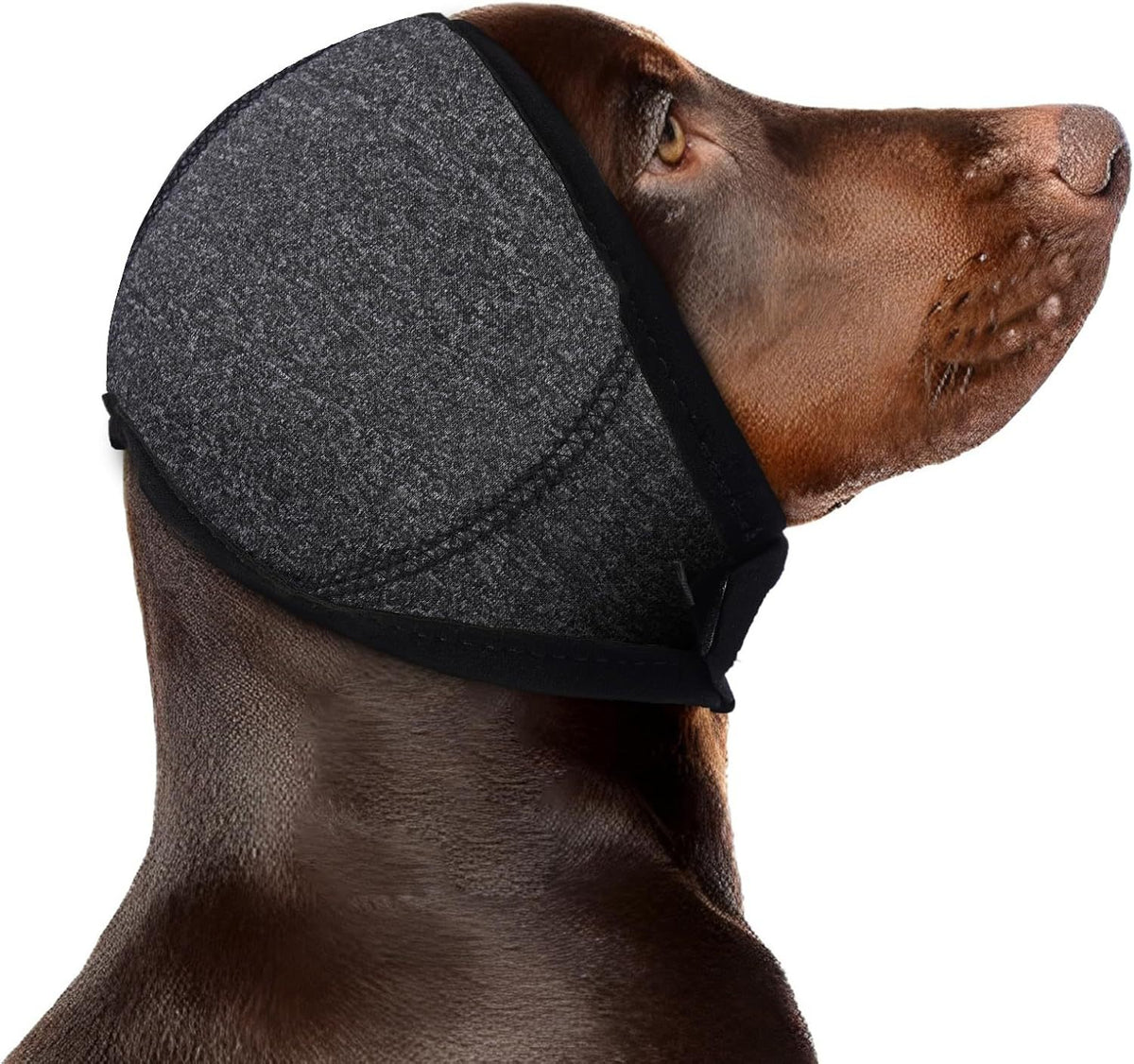 Nage-Proof Couverture tête pour chiens de compagnie en automne et en hiver