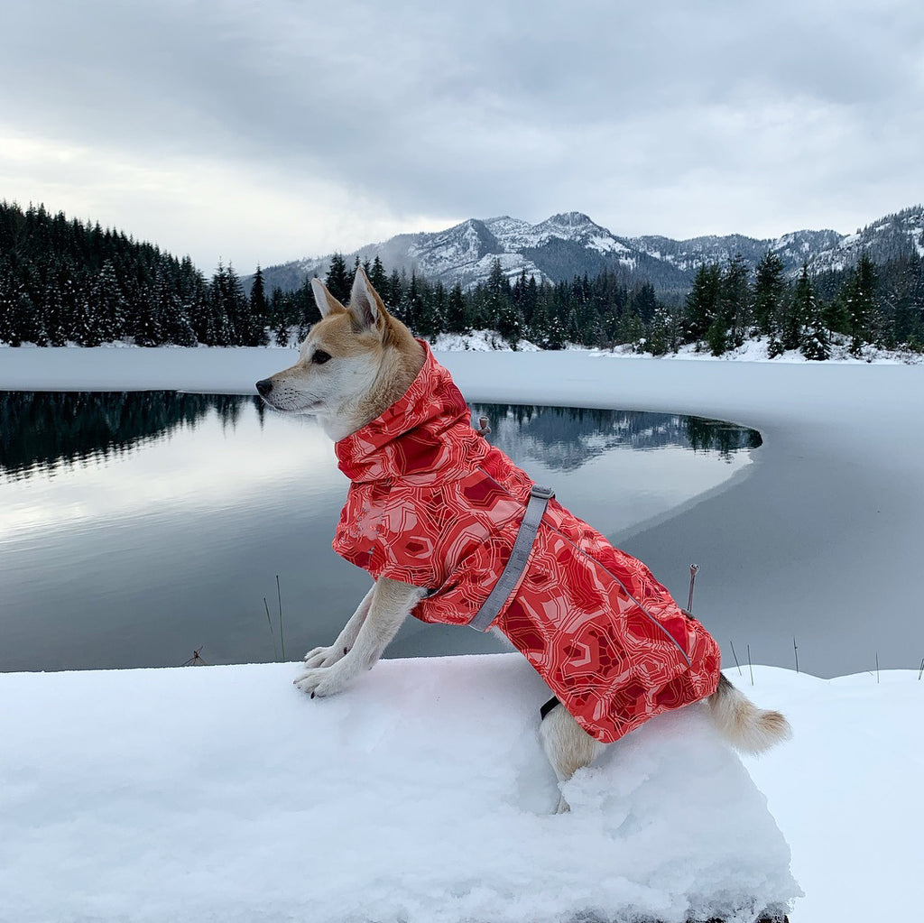Veste en Coton Grand Chien imperméable à la neige chaude en automne et hiver