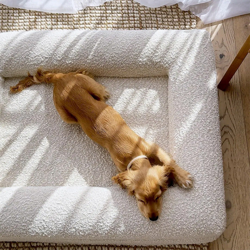 High-end dog bed with waterproof memory foam and removable cover for washing