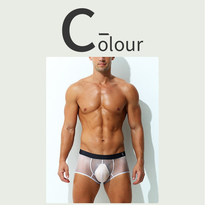 Boxer Slips Ultra-fin Sheer Silk glacé Low-rise Sexy