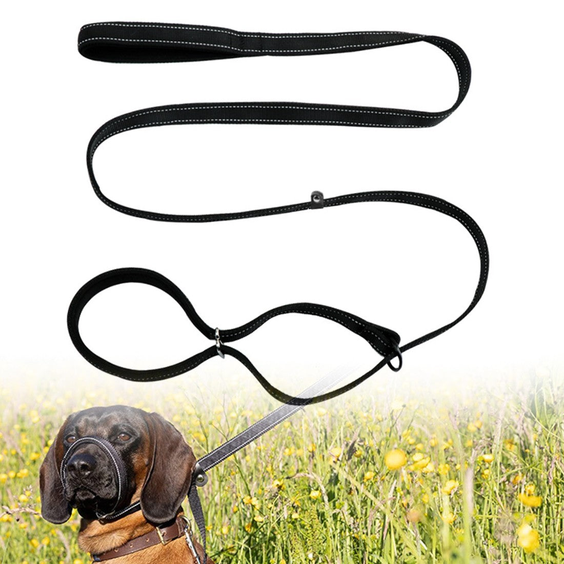 Muselière Anti-Bite intégrée et laisse pour chiens et distributeur de plomb et de déchets
